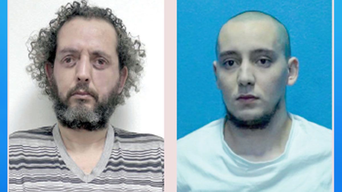 الامارات | تسليم مدير منظمة «ملائكة الموت» الإجرامية إلى السلطات الهولندية