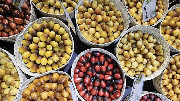 «ليوا للرطب» تستقطب 116 ألف زائر