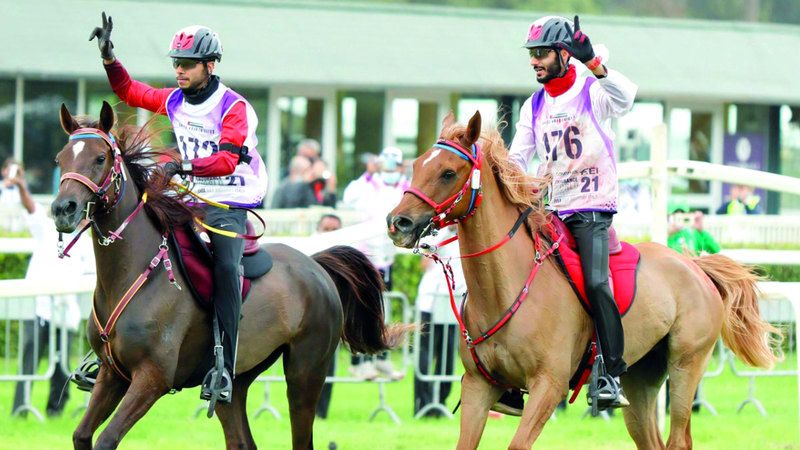 الامارات | 10 فرسان من الإمارات في القائمة الأولية لمونديال القدرة