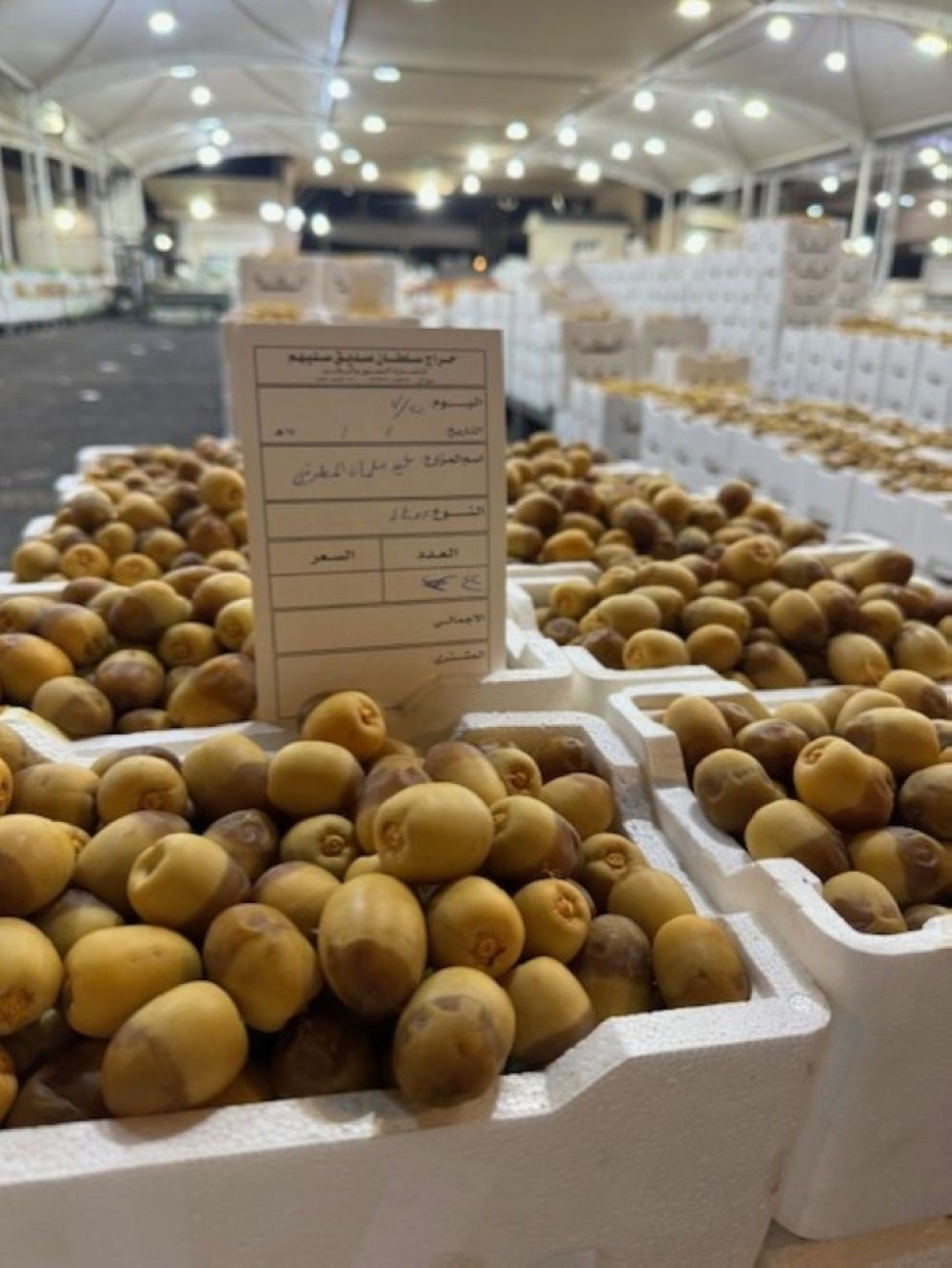 رحلات المسفرين تنقل رطب المدينة للخارج