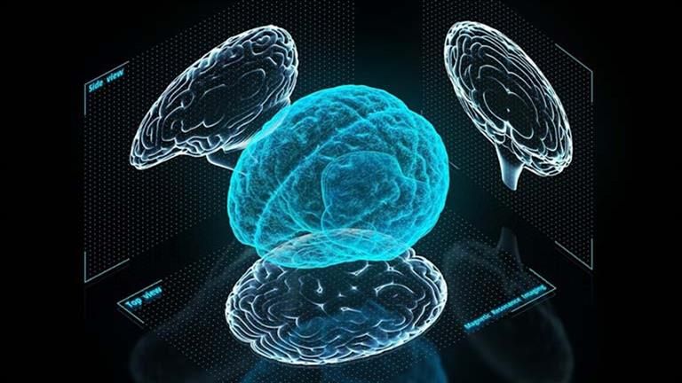 دراسة تكشف عن تقنية جديدة تفتح آفاقاً للتحكم في الدماغ وتعديل السلوك