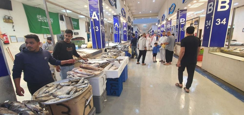 ثبات الأسعار للروبيان وانخفاض 30% لسمك الصويفي بثاني أيام الموسم