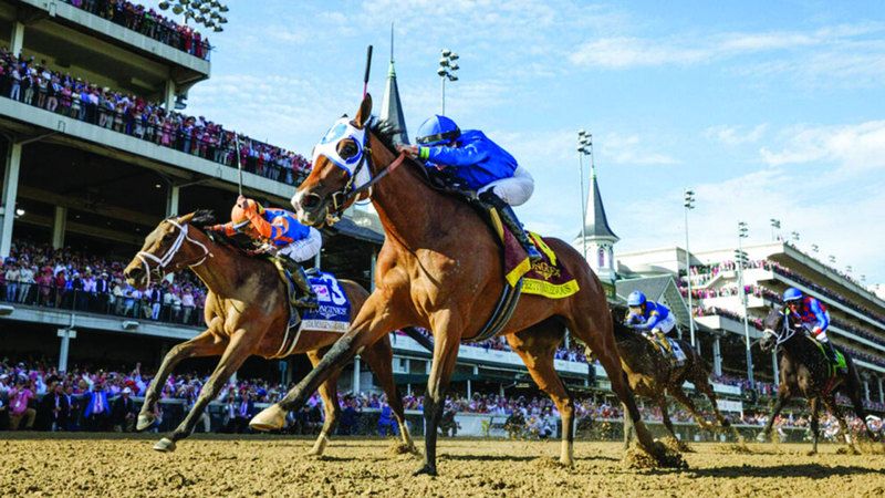 الامارات | جياد «غودولفين» تطارد ألقاب «الفئة الأولى» في أميركا