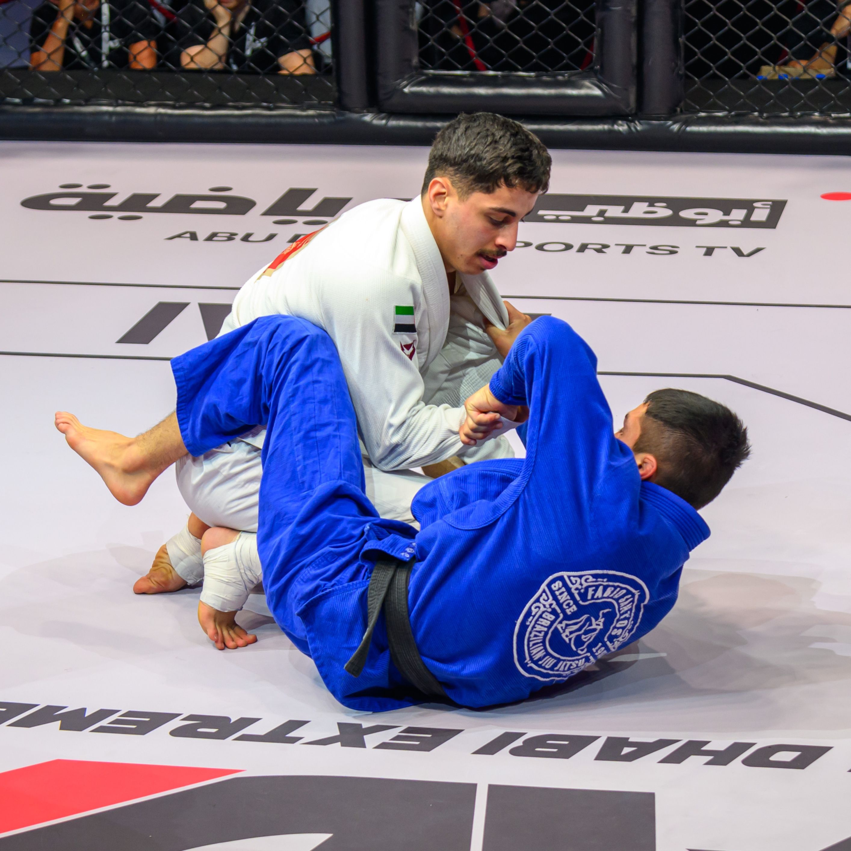 الامارات | صدارة إماراتية في "أبوظبي إكستريم 5 "وأصداء عالمية واسعة للبطولة