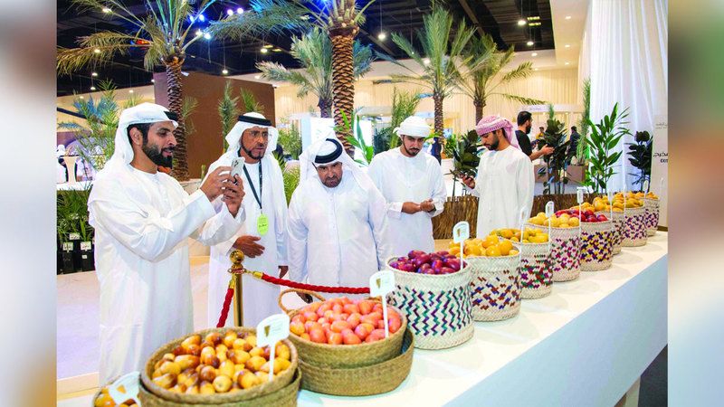 الامارات | «صندوق الفرجان» راعياً لجوائز «نخلة البيت» في «دبي للرطب»