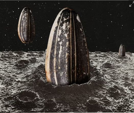 تكنولوجيا: بسبب مخاطر التغير المناخي.. علماء يقترحون إنشاء نسخة احتياطية للحياة على القمر