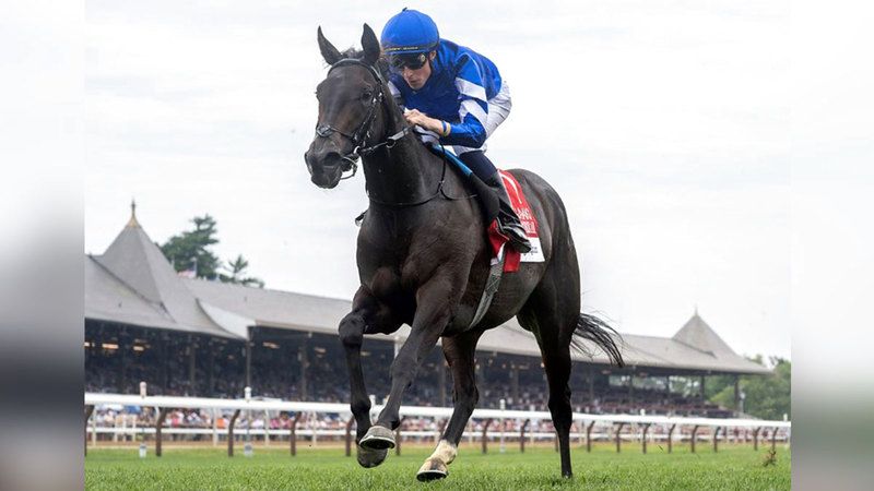 الامارات | بشعار غودولفين.. «سندريلاس دريم» تقبض على لقب «ساراتوغا أوكس»