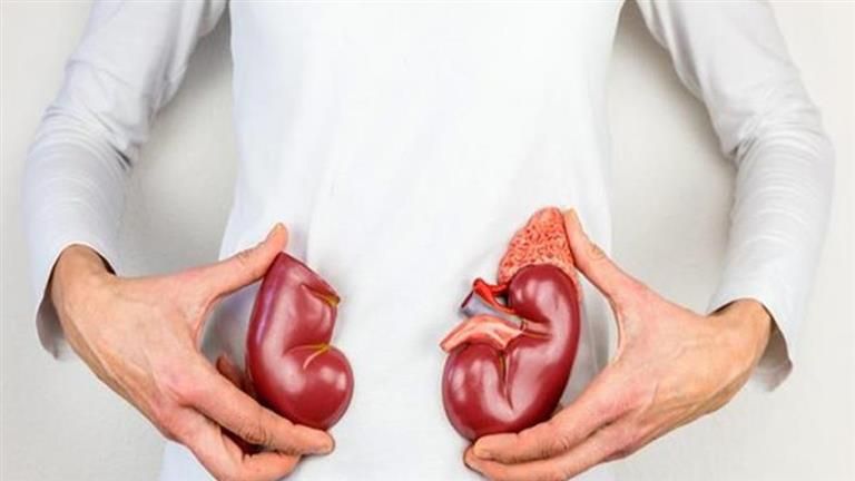 3 مشروبات طبيعية لتفتيت حصوات الكلى.. احرص عليها