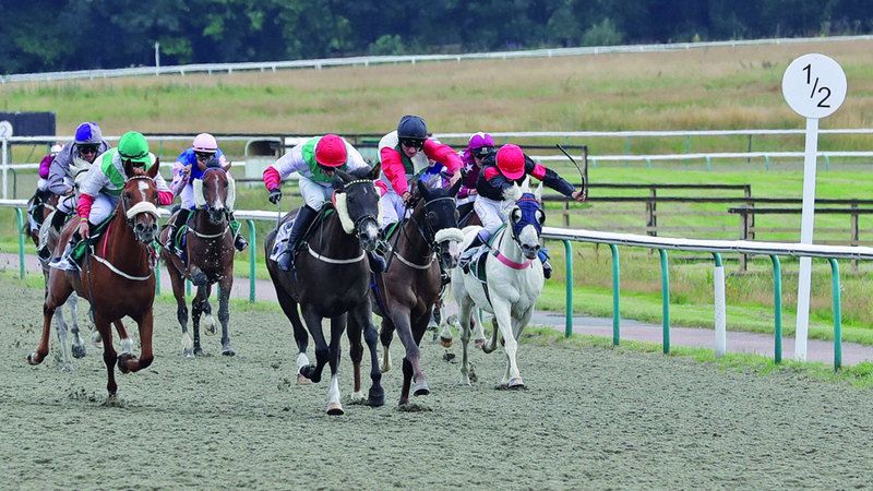 الامارات | كأس الوثبة تجتذب 8 خيول في مضمار لنجفيلد العريق