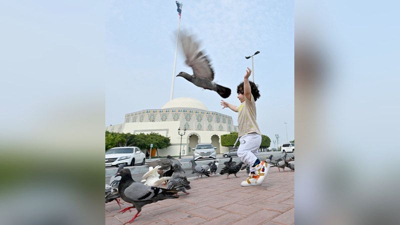 الامارات | وللصغار أيضاً أجنحة.. في إمارات الخير