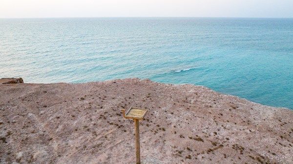 تدشين مشروع الأعشاش الاصطناعية لطائر العقاب النساري "الدّمي" في محمية "صير بونعير"