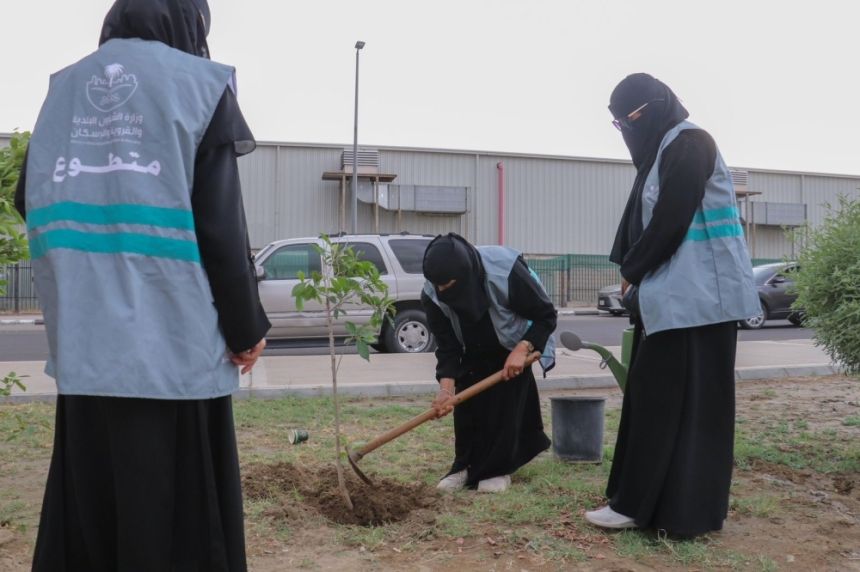 مبادرة مجتمعية لزراعة الشتلات بالشوارع والميادين العامة في الطائف
