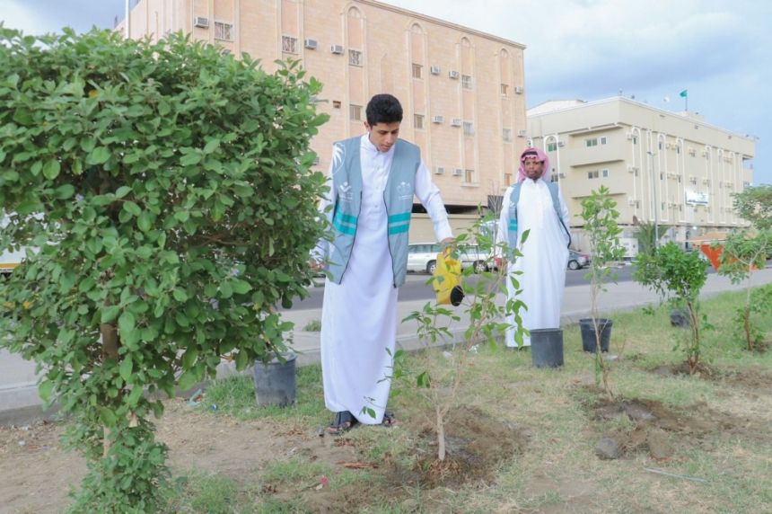 مبادرة مجتمعية لزراعة الشتلات بالشوارع والميادين العامة في الطائف