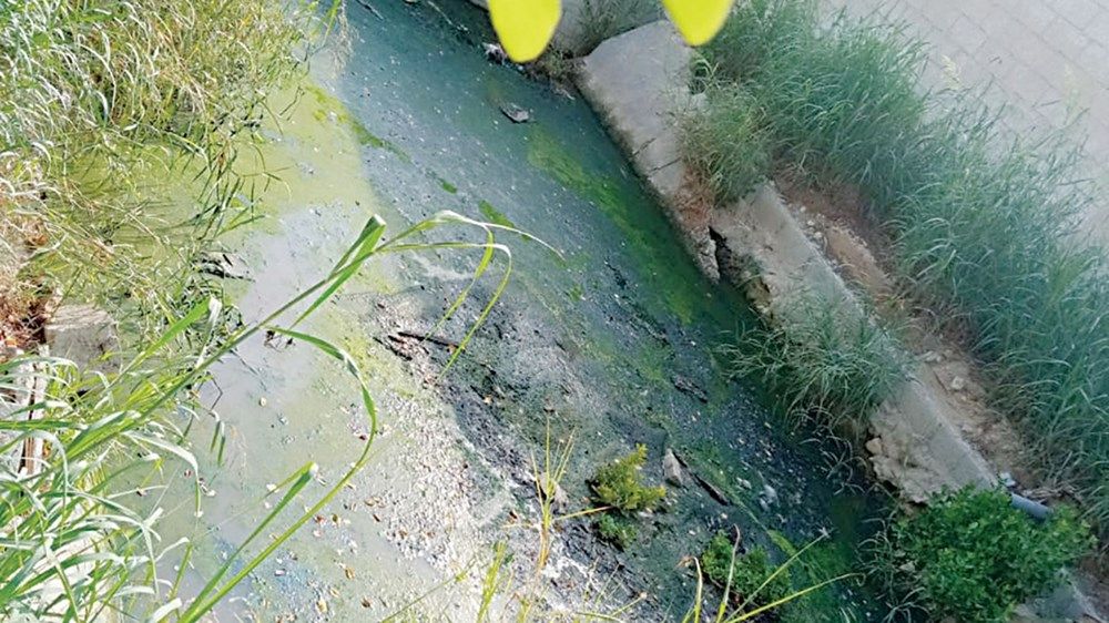 122 مخالفة رمي عشوائي للنفايات في أبوظبي خلال 7 أشهر