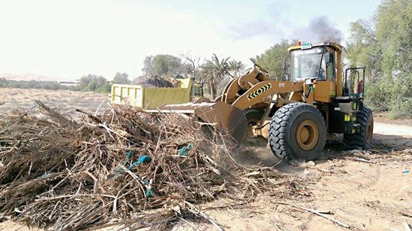 122 مخالفة رمي عشوائي للنفايات في أبوظبي خلال 7 أشهر