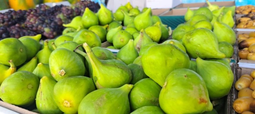 حبتان من فاكهة التين يمد الجسم بـ 79 جرامًا من الماء و74 سعرة حرارية