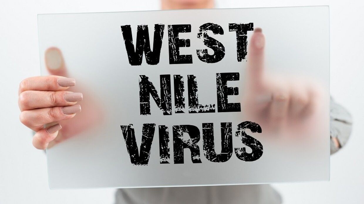 الامارات | رصد 9 إصابات بحمى "غرب النيل" جنوب إسبانيا