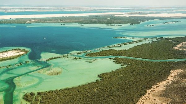 جزر أبوظبي.. ملاذ آمن للطيور المهاجرة في الصيف