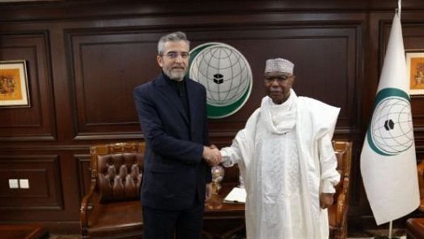 إيران تطالب بدعم الدول الإسلامية ضد إسرائيل