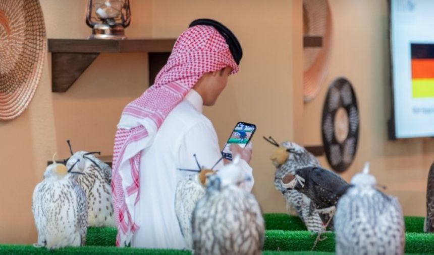 لأول مرة.. مزرعة كوسيرو الإسبانية تشارك في مزاد الصقور