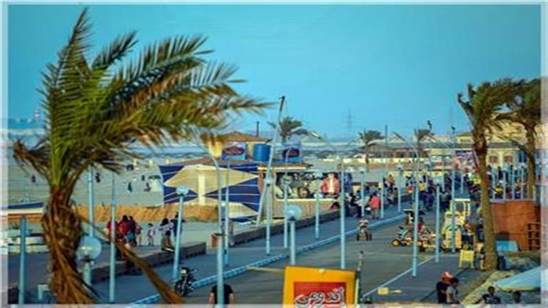 لماذا سميت مدينة "جمصة" بهذا الاسم؟.. اعرف الحكاية