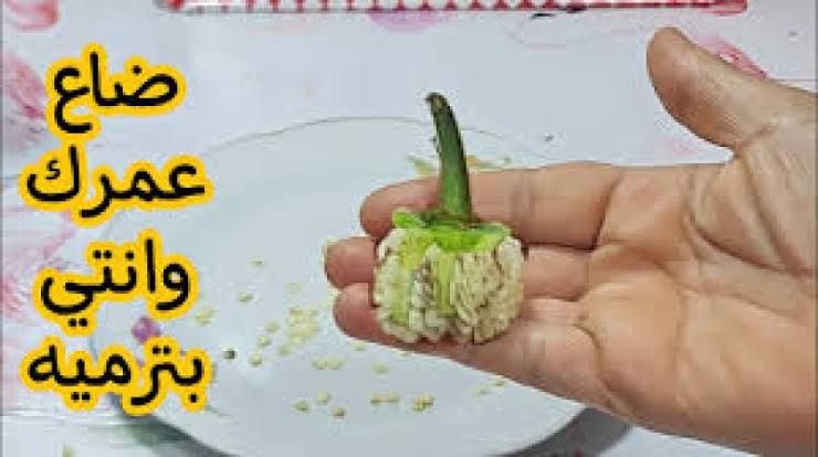 بذور الفلفل الأخضر كنز رهيب في بيتك اوعي ترميها تاني.. طلعت اهم من الفلفل نفسه