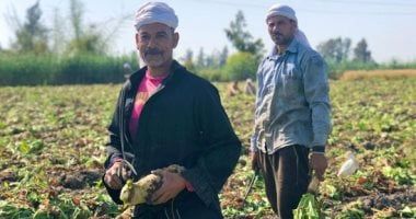 دعم الفلاح وتمكينه.. تعرف على خطة الحكومة الجديدة لمساندة المزارعين