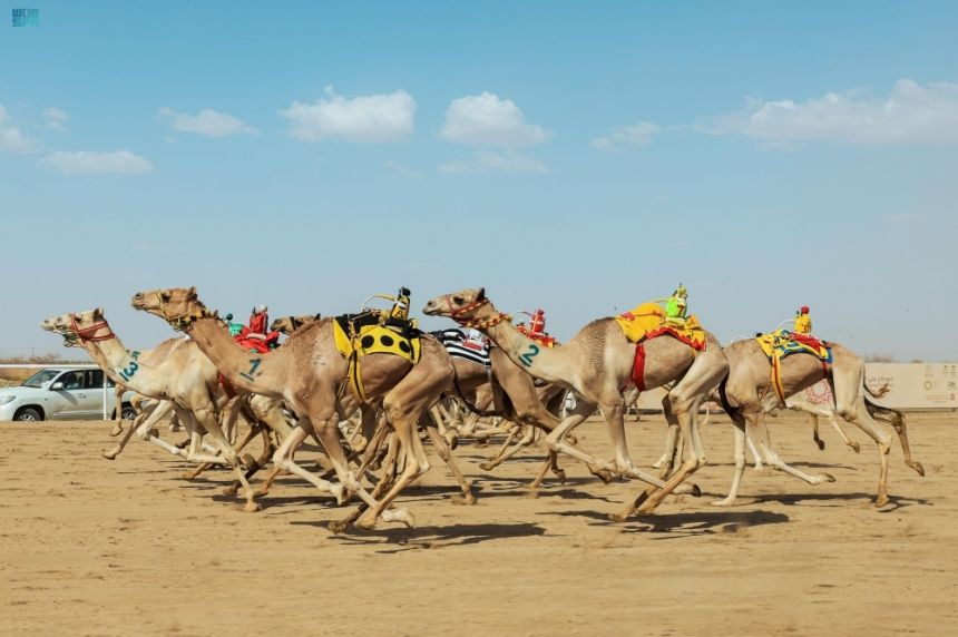 بجوائز 56 مليون ريال.. انطلاق مهرجان ولي العهد للهجن في الطائف غدًا