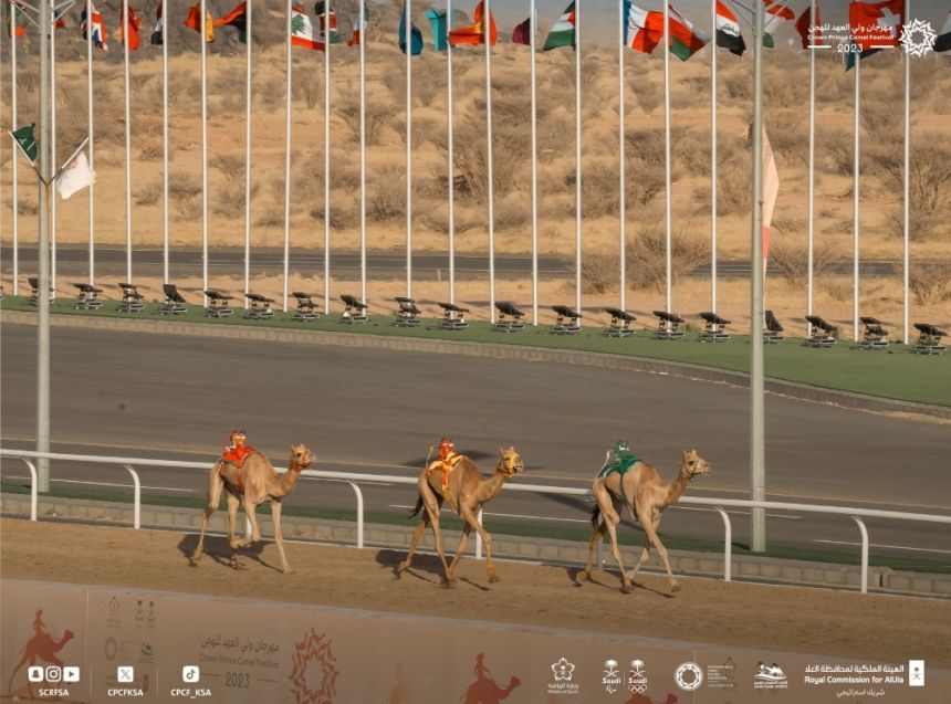 بجوائز 56 مليون ريال.. انطلاق مهرجان ولي العهد للهجن في الطائف غدًا