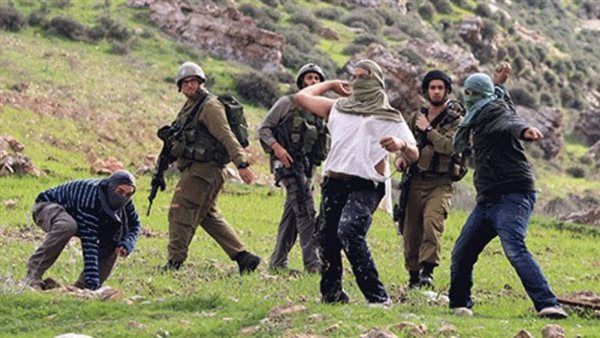 إصابة مواطن في هجوم للمستعمرين جنوب نابلس