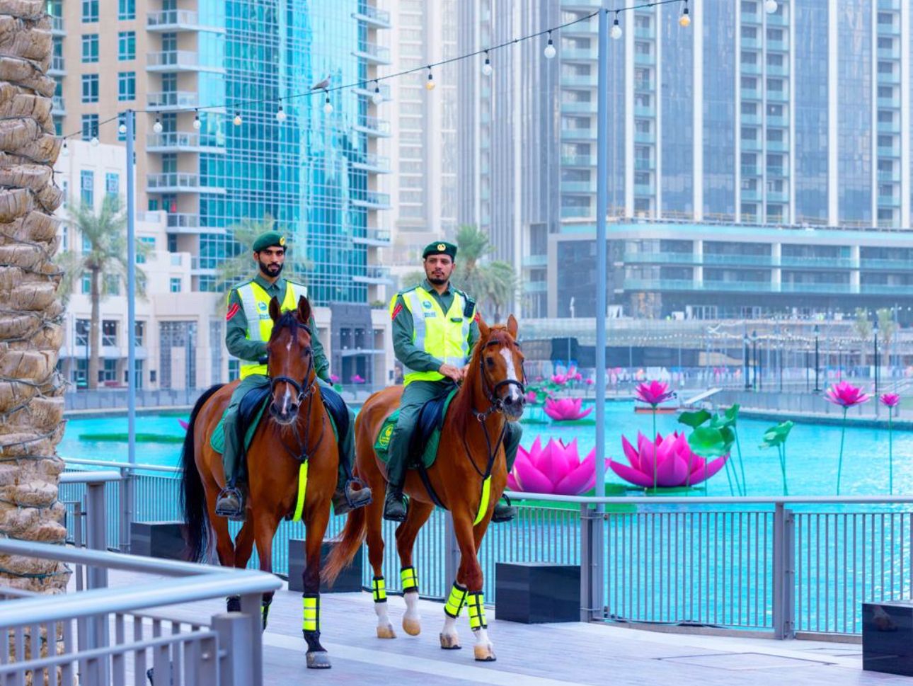 الامارات | خيالة شرطة دبي تسير 732 دورية خلال النصف الأول