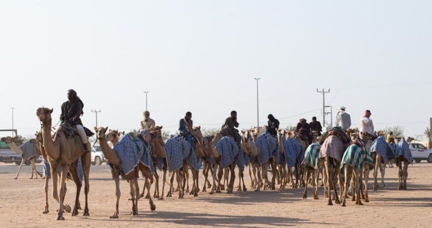 بجوائز 56 مليون ريال.. انطلاق مهرجان ولي العهد للهجن في الطائف غدًا