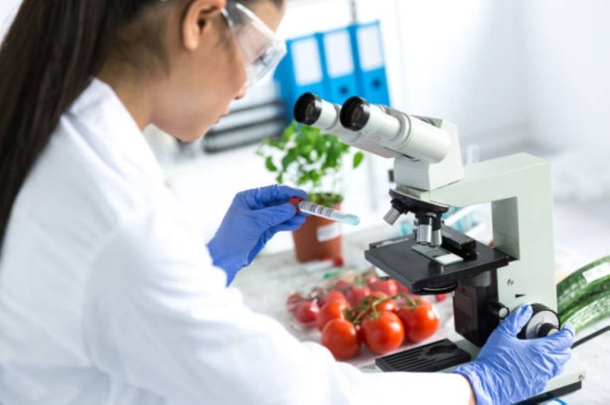 مختصة: المواصفات القياسية واللوائح الفنية أساس لسلامة المنتجات الغذائية