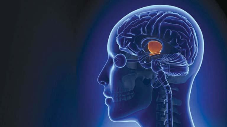 مفعولها سحري.. أطعمة تحسن عمل الدماغ