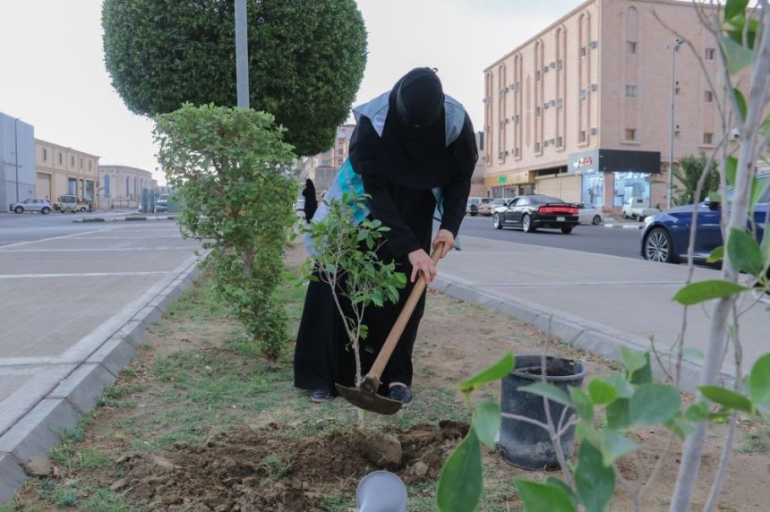 ري بالمياه المعالجة.. برنامج التشجير والتخضير يغطي مزيداً من المواقع  بالطائف