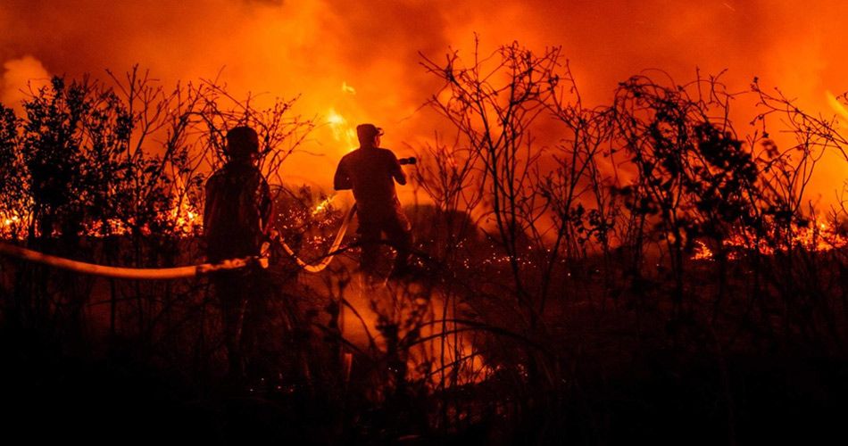 استمرار حرائق الغابات في شمال اليونان