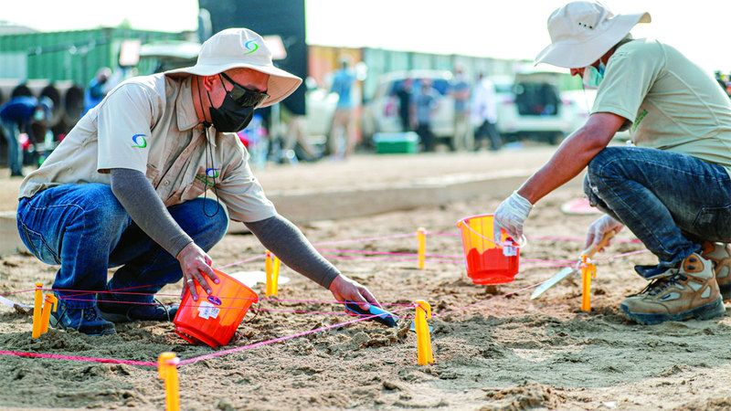 الامارات | أبوظبي تراقب جودة التربة بالذكاء الاصطناعي