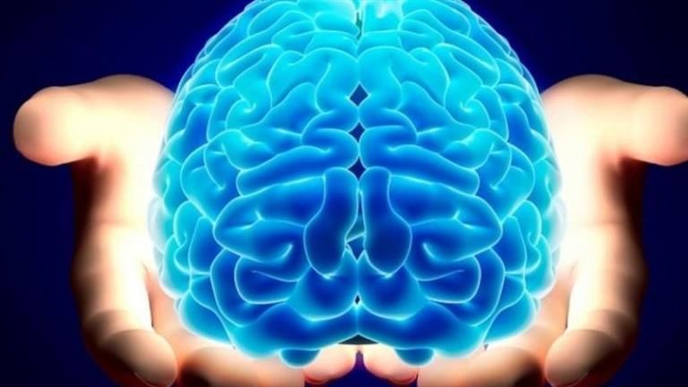 تحذير من هذه الأطعمة.. تسبب مرضا خطيرا يهدد الدماغ