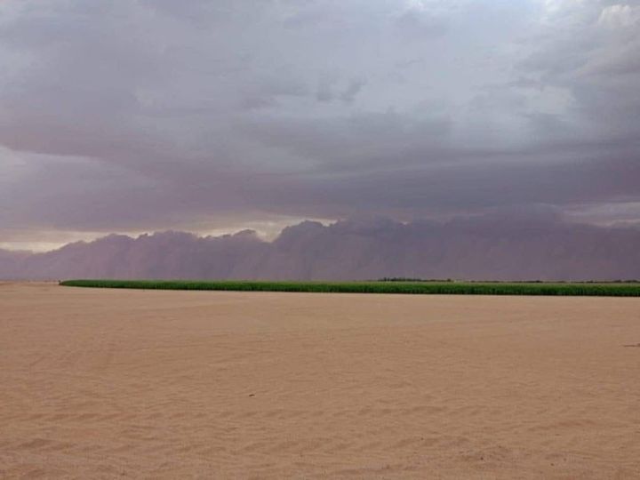 عاصفة ترابية شديدة تضرب جنوب مصر