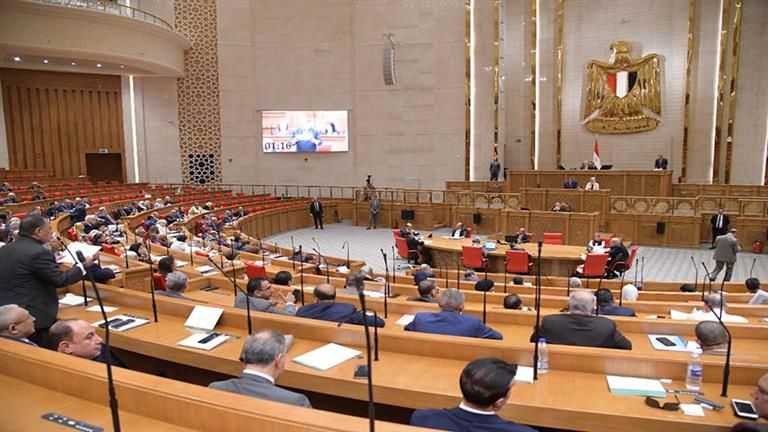 برلماني عن التحول للدعم النقدي: يساهم في غلق باب الفساد