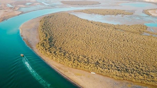 تطوير محميتي "الوثبة للأراضي الرطبة" و"الكثبان الأحفورية"