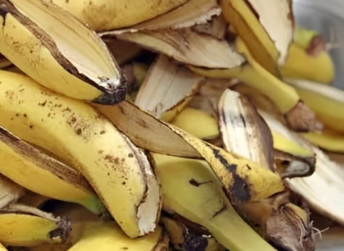 كنز يساوي مليار .. “قشور الموز” كنز في بيتك أوعى ترميها تاني.. تعالي أقولك ممكن تعملي بيها أيه!