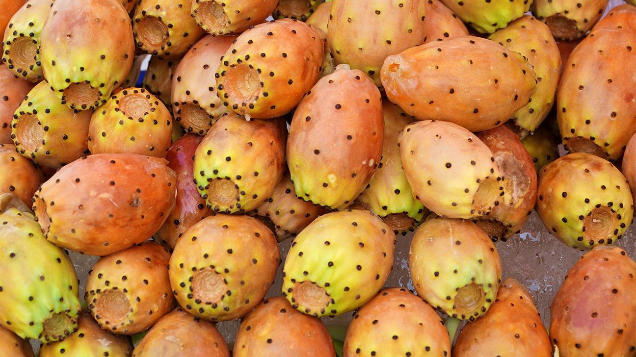 تعرف على فوائد التين الشوكي للجسم