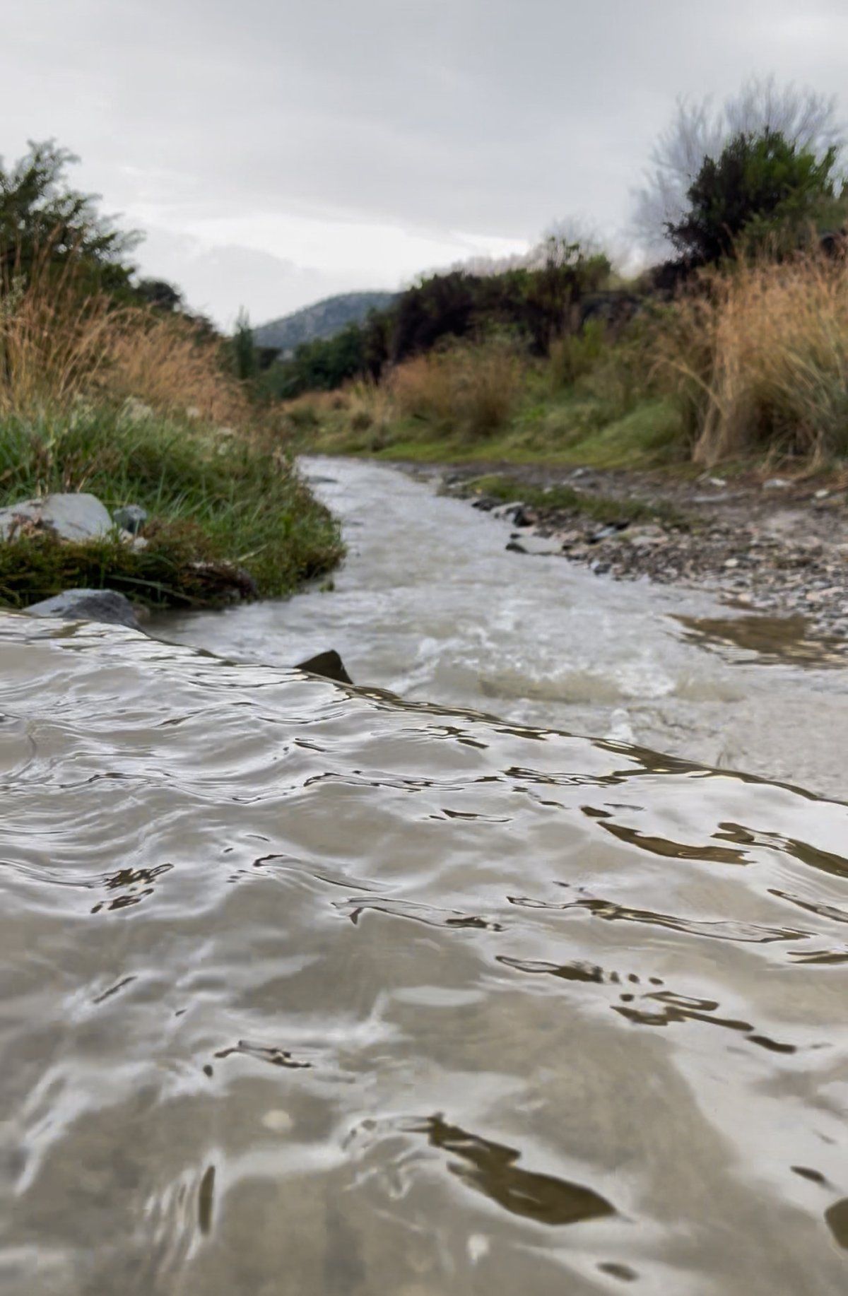 "الخليج 365" توثق.. أمطار غزيرة على غرب أبها تعيد الحياة للأودية والشعاب