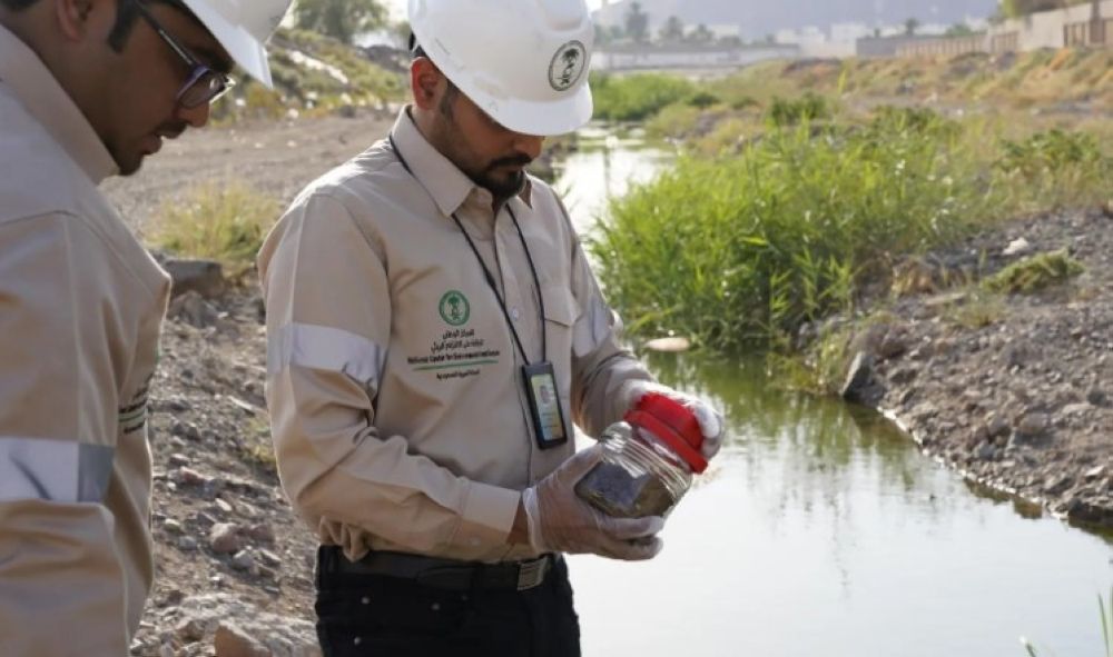 "الالتزام البيئي": الانتهاء من تطوير 30 خطة لإزالة التلوث الصناعي في المملكة