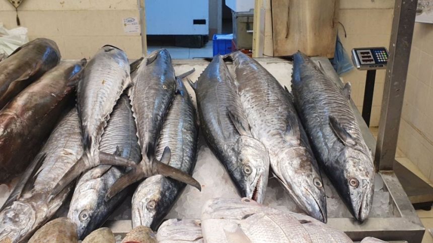 لمدة شهرين.. 5 آلاف ريال غرامة الصيد المخالف لأسماك "الكنعد"