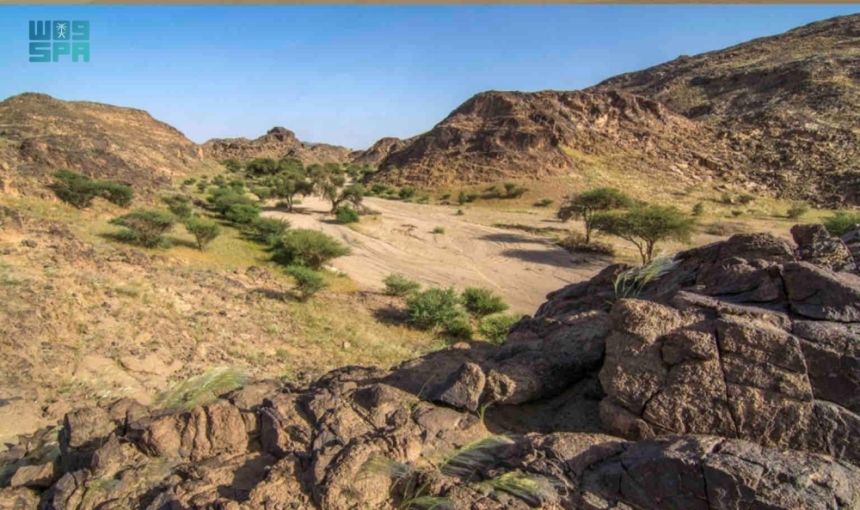 في محمية الوعول.. تفاصيل لقاء نقل الخبرات بين "الحياة الفطرية" والمحميات