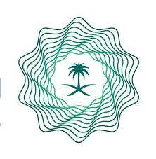 وزارة المالية تقيم ورش تدريبية لتطويرٌ قدرات المراقبين الداخليين في الجهات الحكومية