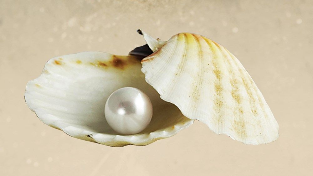 أبوظبي تنتج اللؤلؤ في «المياه العذبة»