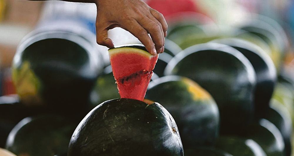 مكة المكرمة تتربع على عرش إنتاج البطيخ في المملكة بأكثر من 442 ألف طن